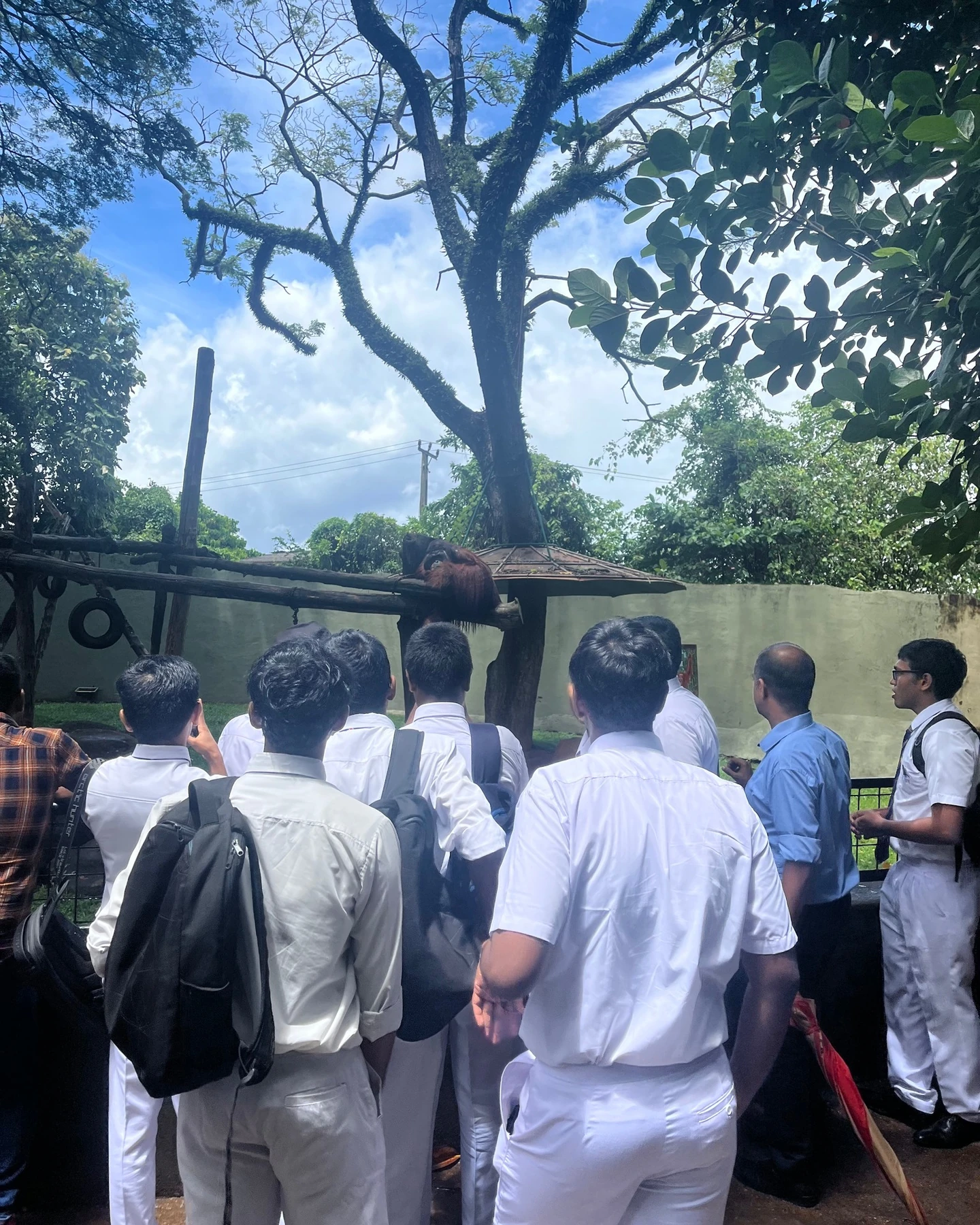 Students observing wildlife during a guided field-learning visit