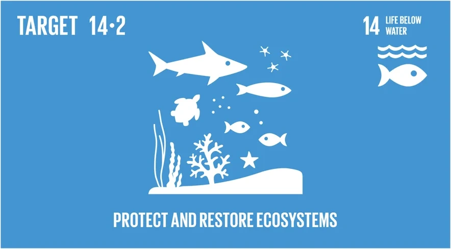 United Nations Sustainable Development Goal Target 14.2, sustainable management and protection of marine ecosystems