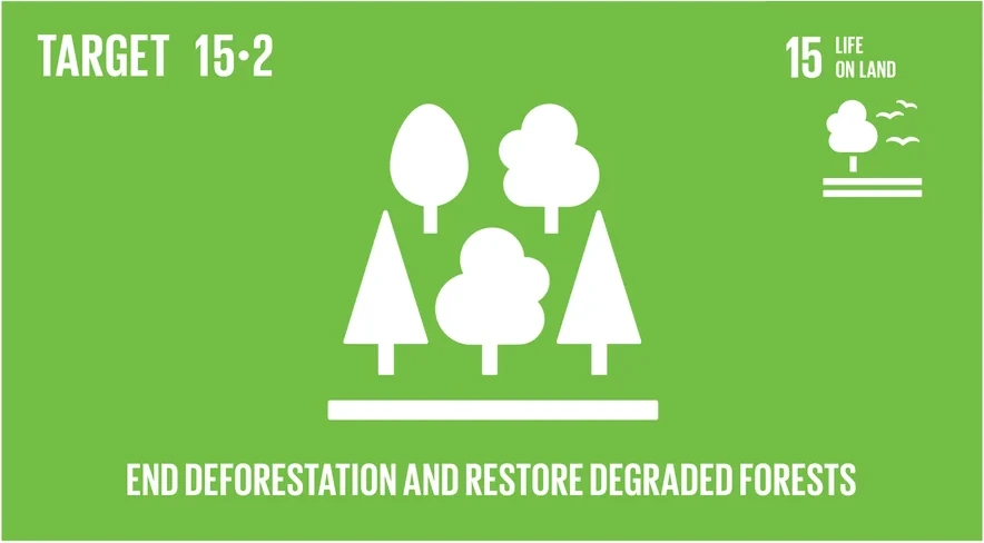 United Nations Sustainable Development Goal Target 15.2, sustainable forest management and restoration