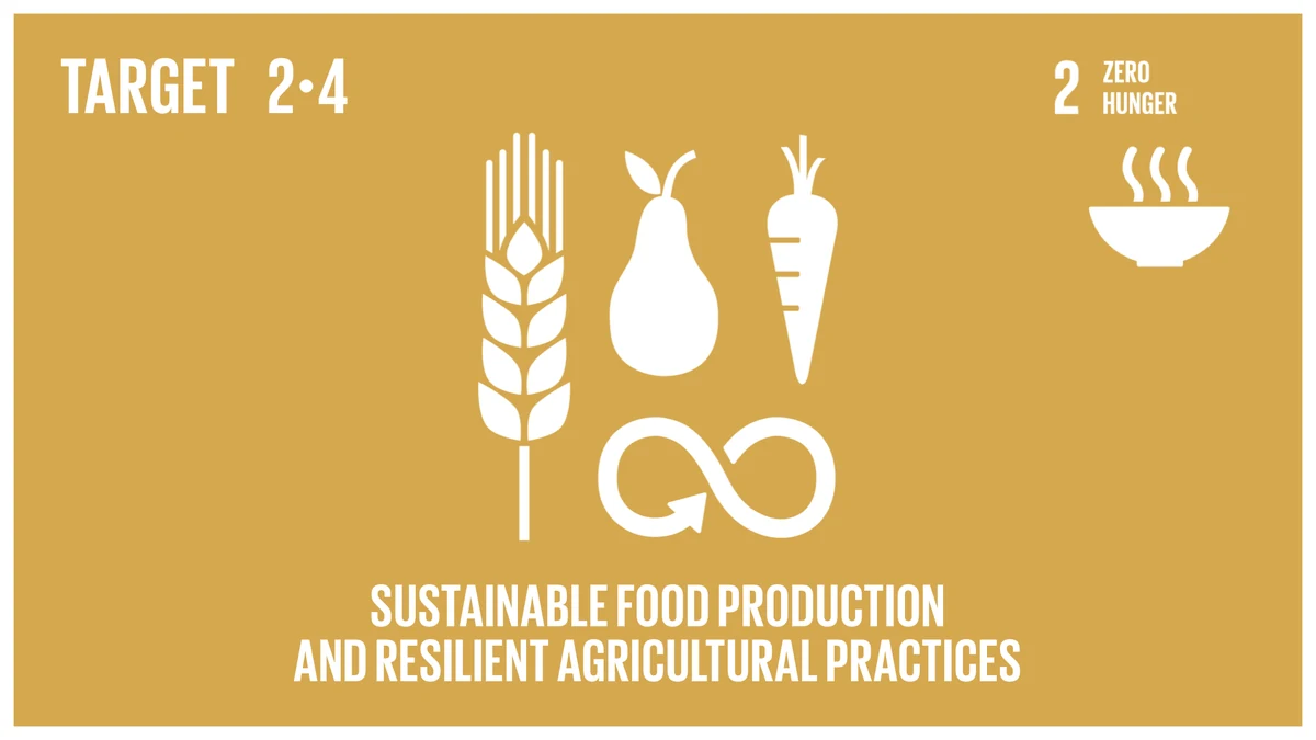 United Nations Sustainable Development Goal Target 2.4 media card