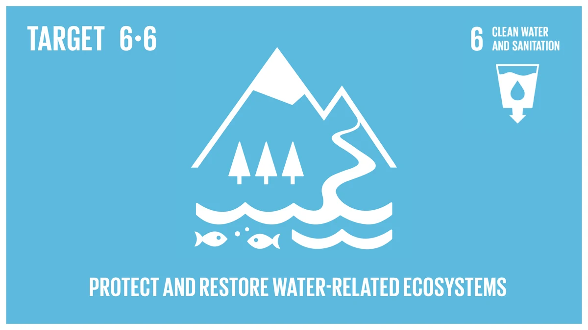 United Nations Sustainable Development Goal Target 6.6 media card