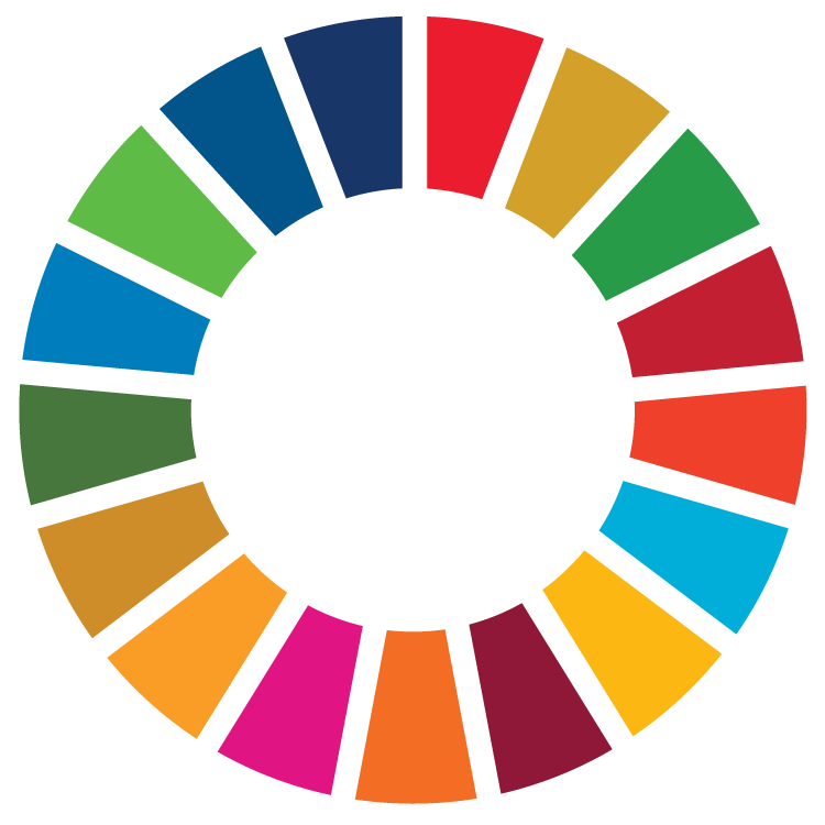 United Nations Sustainable Development Goals colour wheel