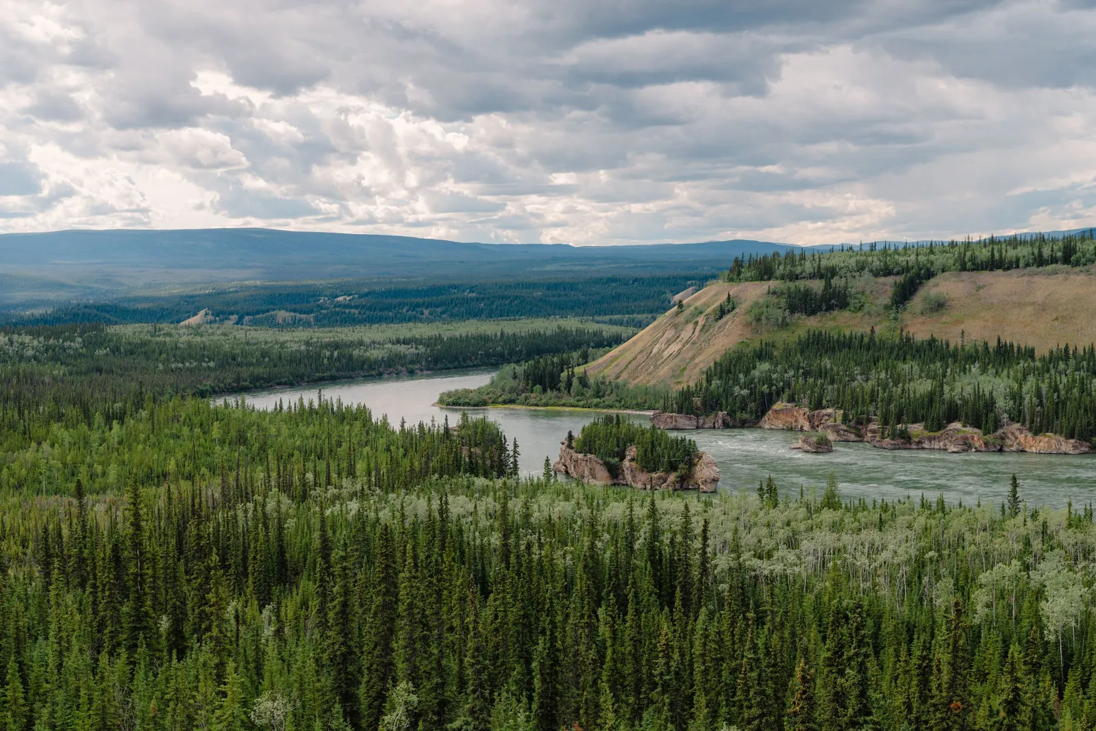 Habitat associated with Bears