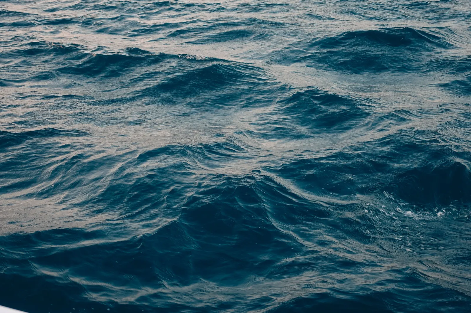 Habitat associated with Blue whales