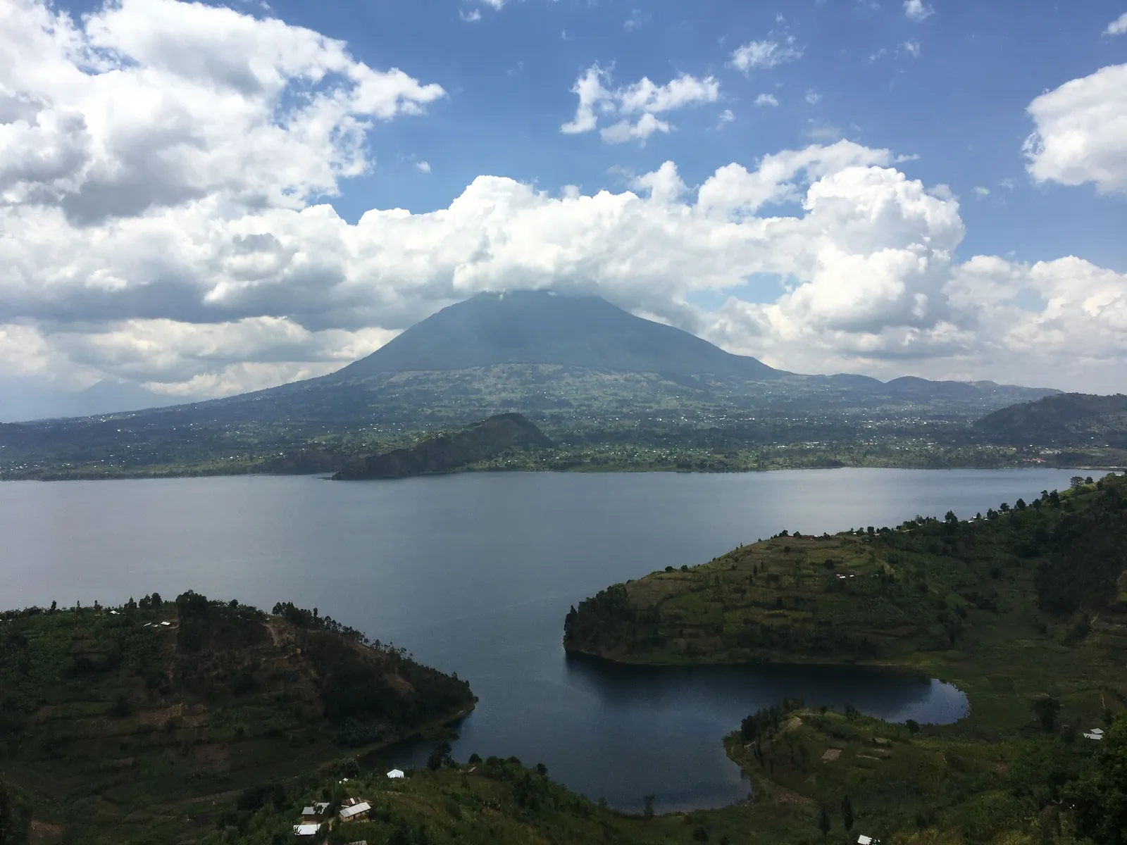 Habitat associated with Gorillas