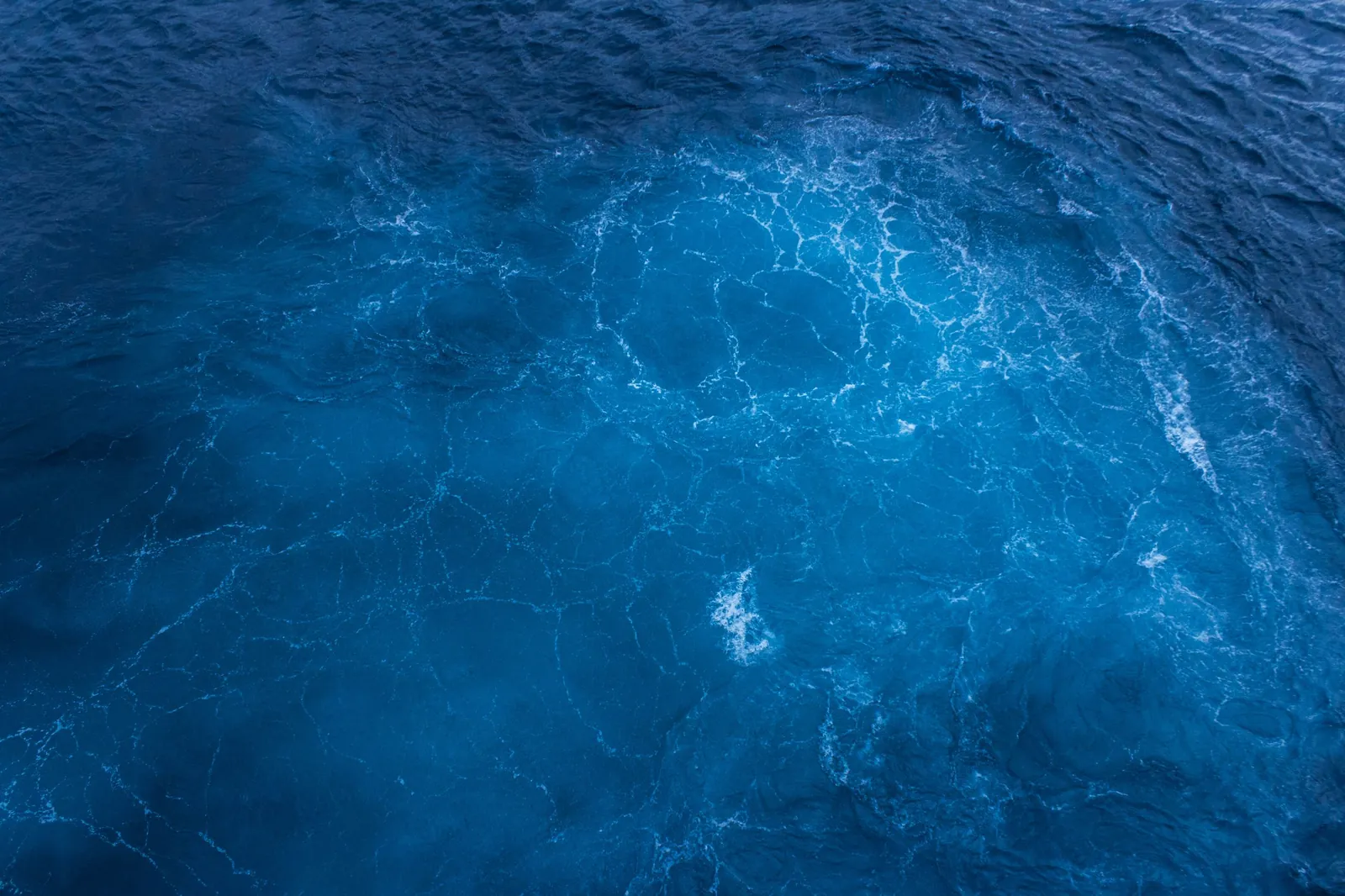 Habitat associated with Jellyfish