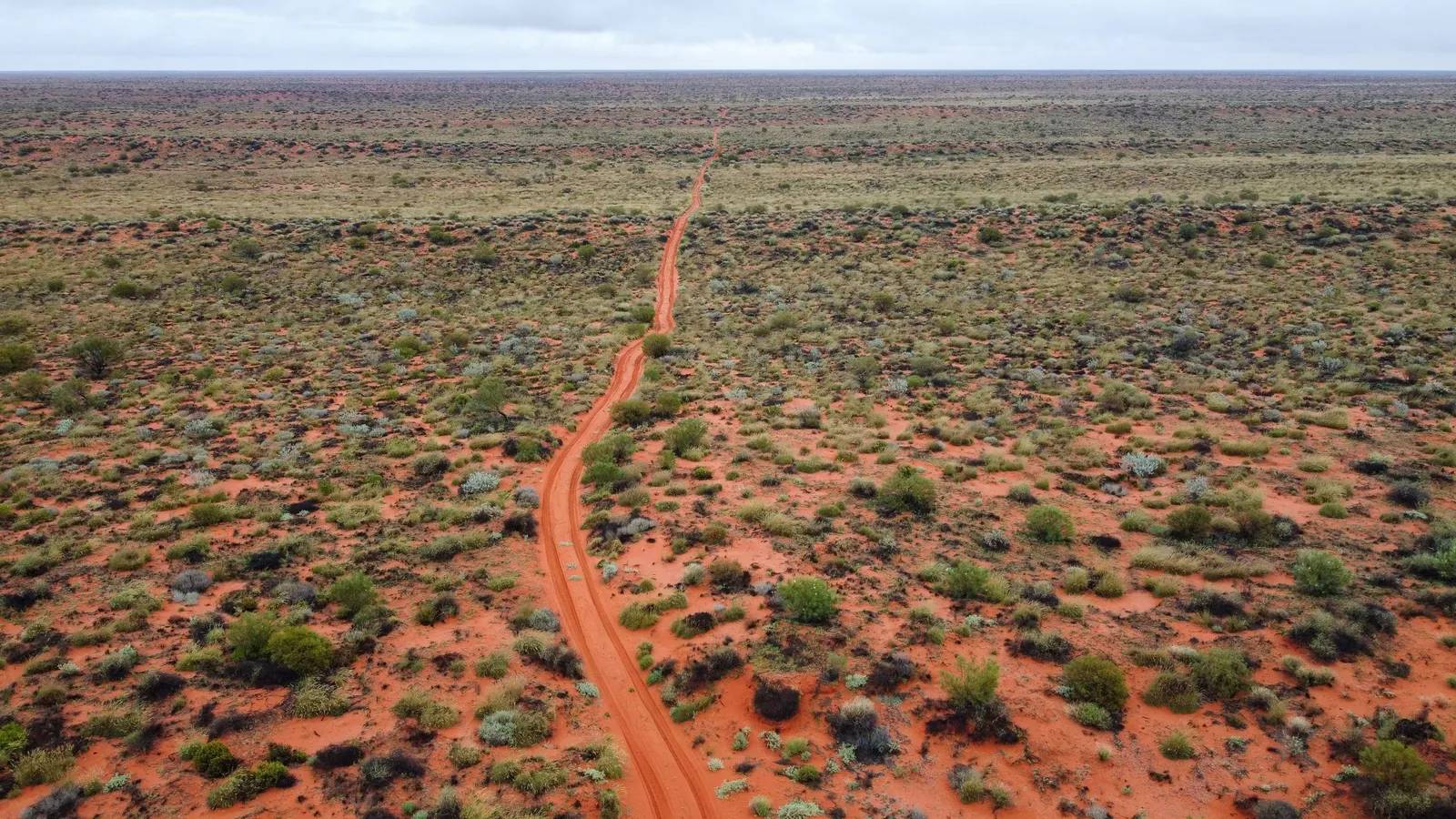Habitat associated with Kangaroos & wallabies
