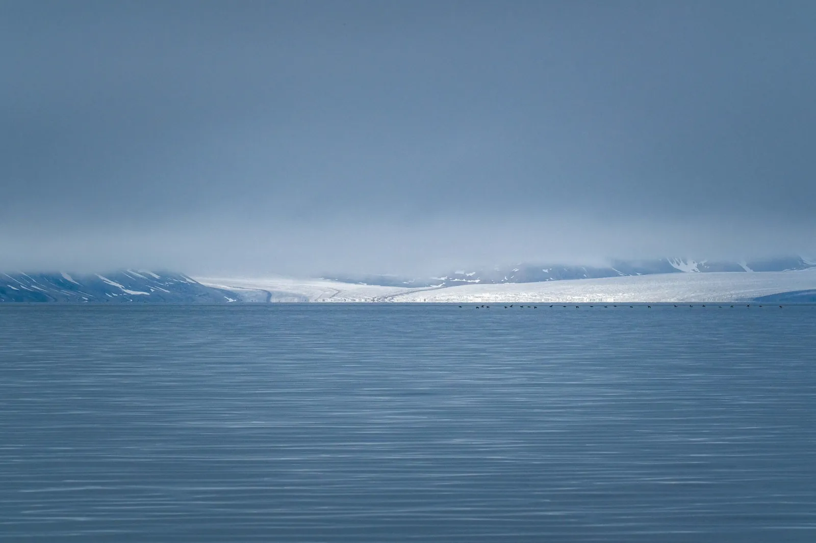 Habitat associated with Polar bears