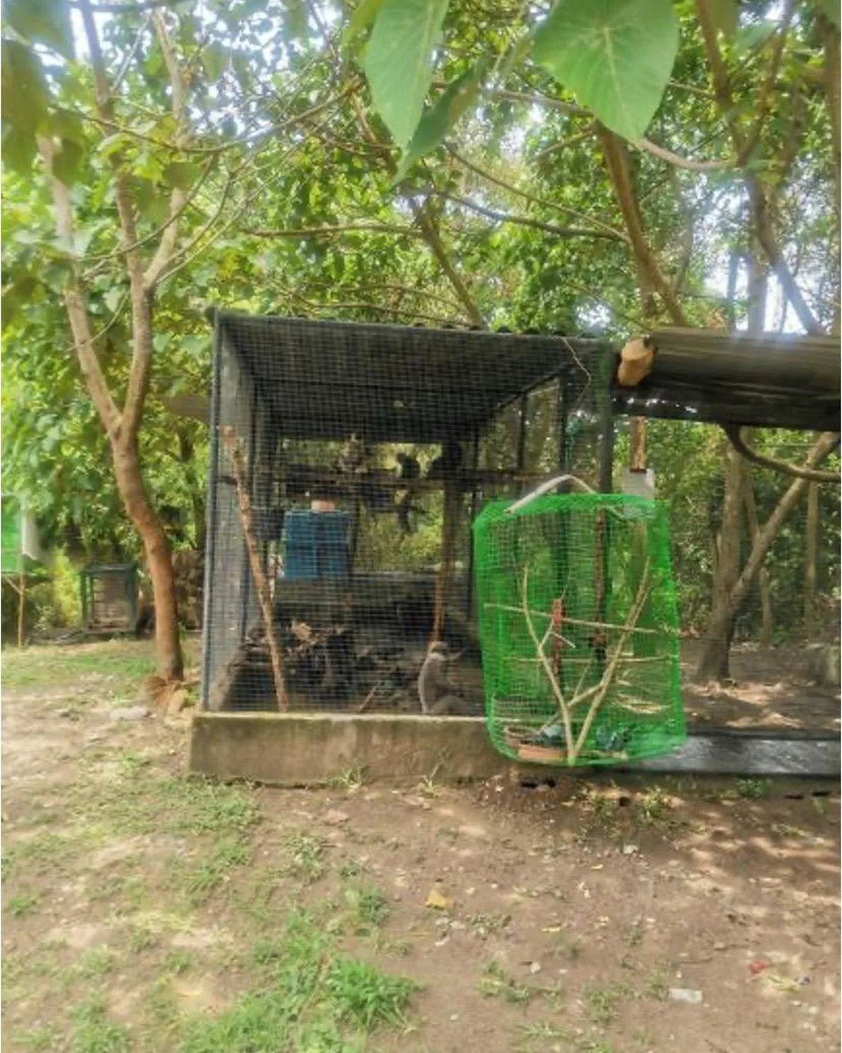 Wildlife rehabilitation enclosure
