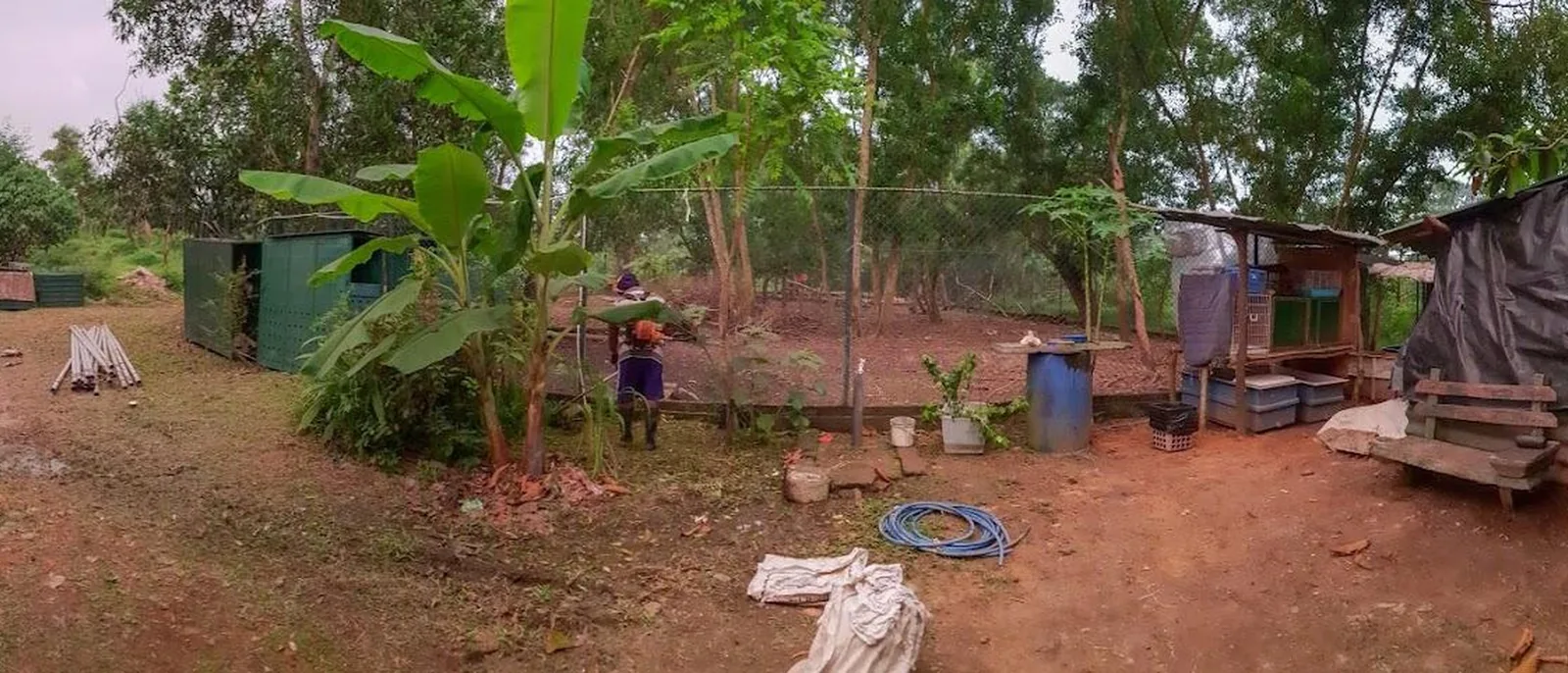 Wildlife rehabilitation centre site conditions